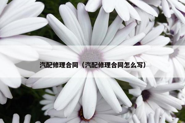 汽配修理合同（汽配修理合同怎么写）