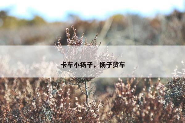 卡车小扬子，扬子货车