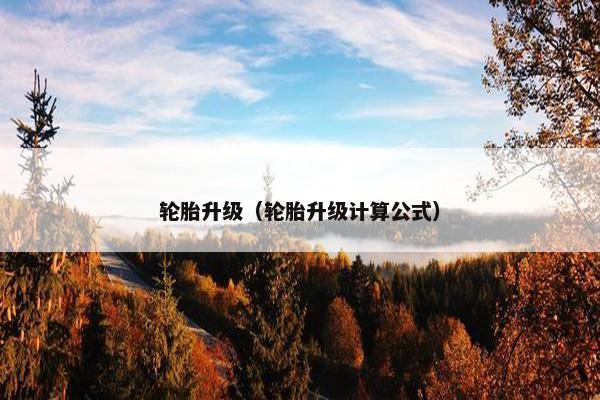 轮胎升级（轮胎升级计算公式）