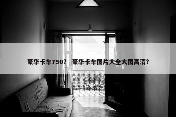豪华卡车750？ 豪华卡车图片大全大图高清？