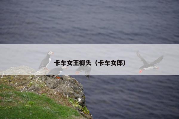 卡车女王榔头（卡车女郎）