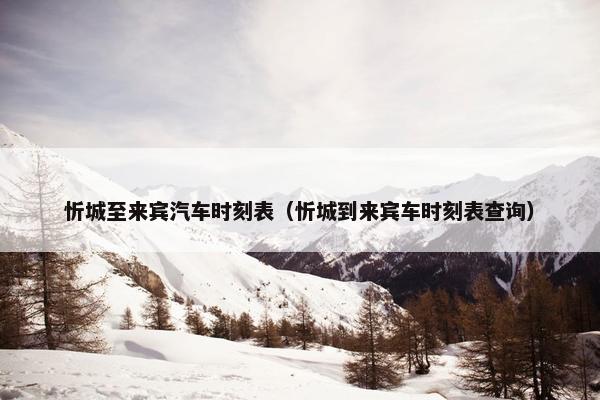 忻城至来宾汽车时刻表（忻城到来宾车时刻表查询）