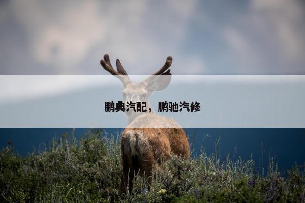 鹏典汽配，鹏驰汽修