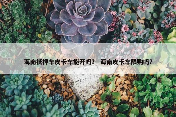 海南抵押车皮卡车能开吗？ 海南皮卡车限购吗？