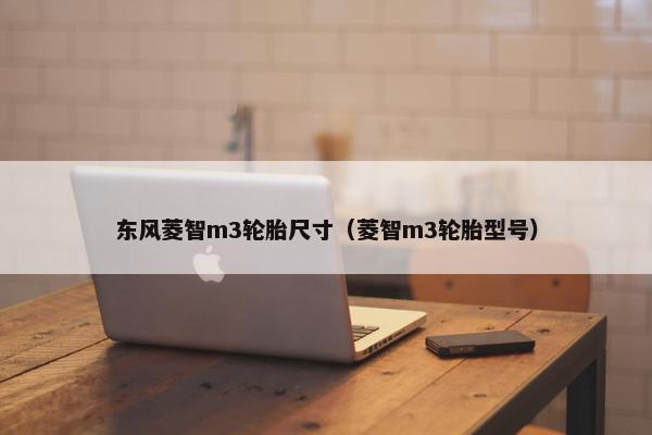东风菱智m3轮胎尺寸（菱智m3轮胎型号）