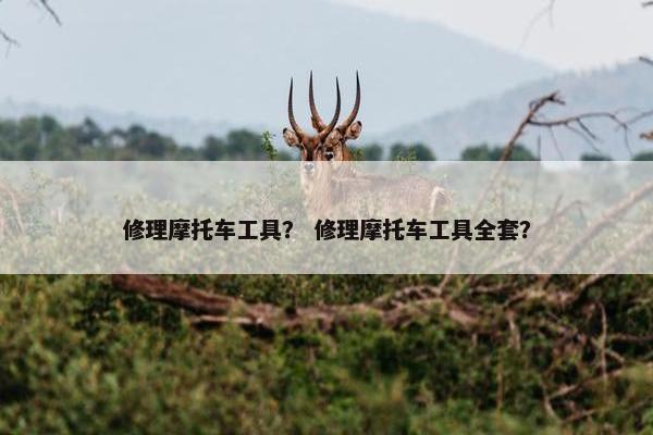 修理摩托车工具？ 修理摩托车工具全套？
