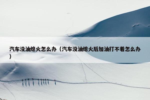 汽车没油熄火怎么办（汽车没油熄火后加油打不着怎么办）