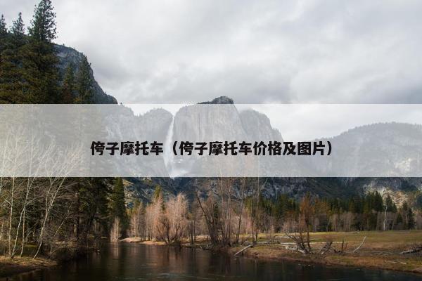 侉子摩托车（侉子摩托车价格及图片）