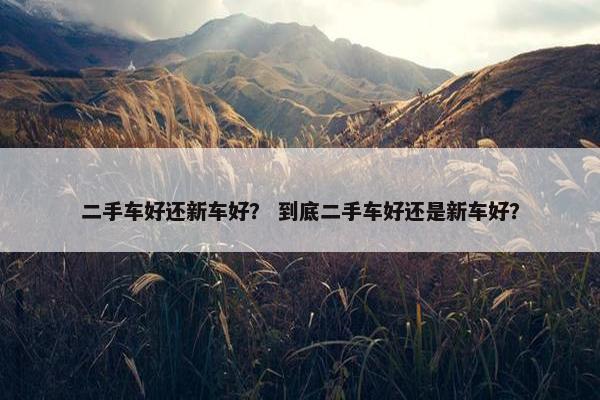 二手车好还新车好？ 到底二手车好还是新车好？
