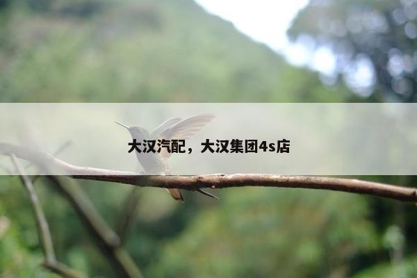 大汉汽配，大汉集团4s店