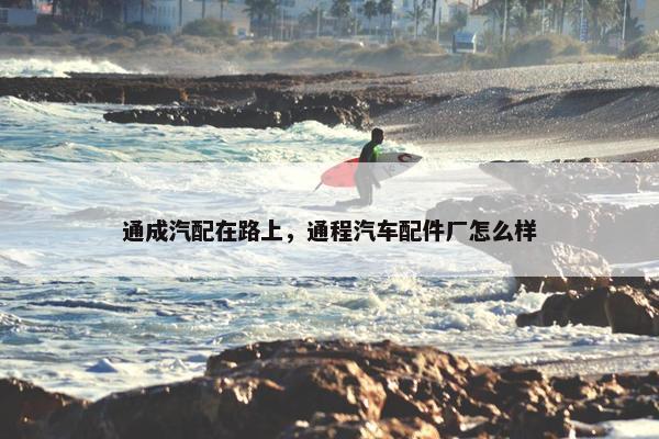 通成汽配在路上，通程汽车配件厂怎么样