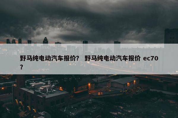野马纯电动汽车报价？ 野马纯电动汽车报价 ec70？