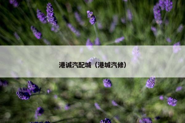 港诚汽配城（港城汽修）