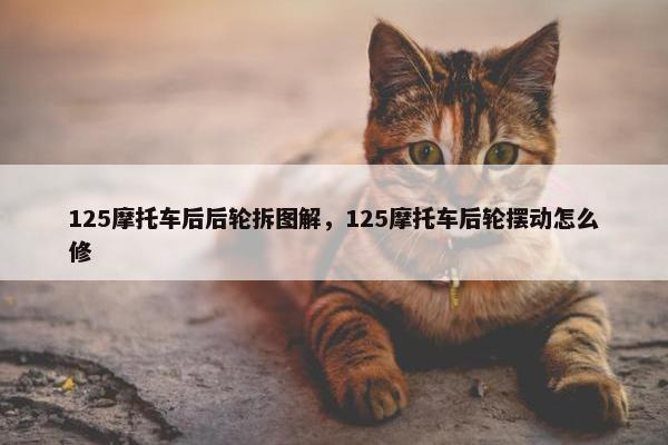 125摩托车后后轮拆图解，125摩托车后轮摆动怎么修