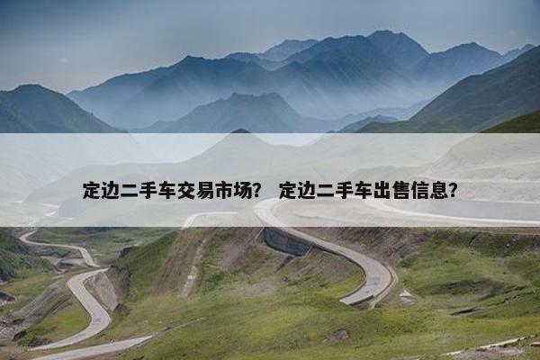 定边二手车交易市场？ 定边二手车出售信息？