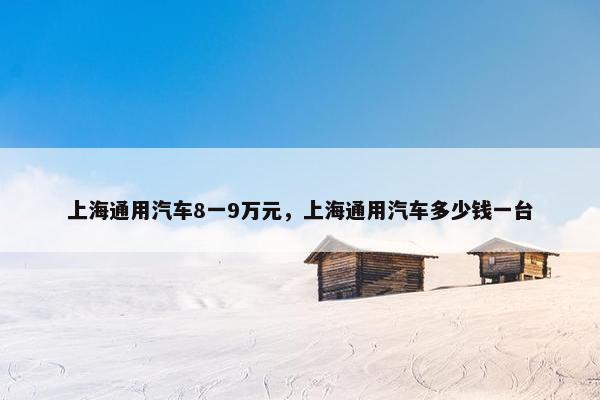 上海通用汽车8一9万元，上海通用汽车多少钱一台