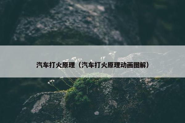 汽车打火原理（汽车打火原理动画图解）