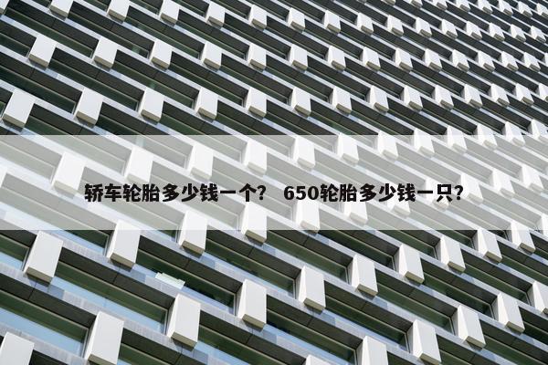 轿车轮胎多少钱一个？ 650轮胎多少钱一只？
