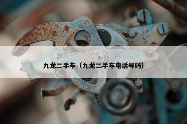 九龙二手车（九龙二手车电话号码）