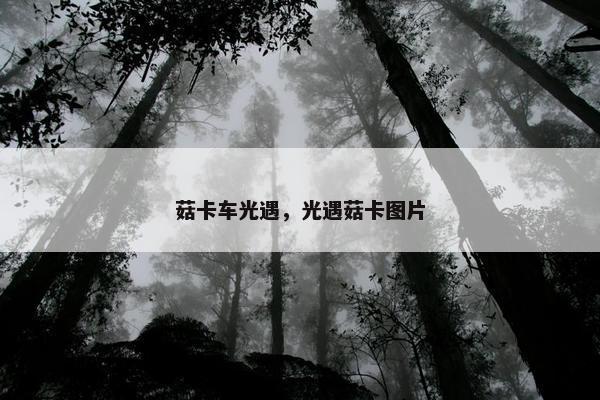 菇卡车光遇，光遇菇卡图片