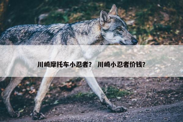 川崎摩托车小忍者？ 川崎小忍者价钱？