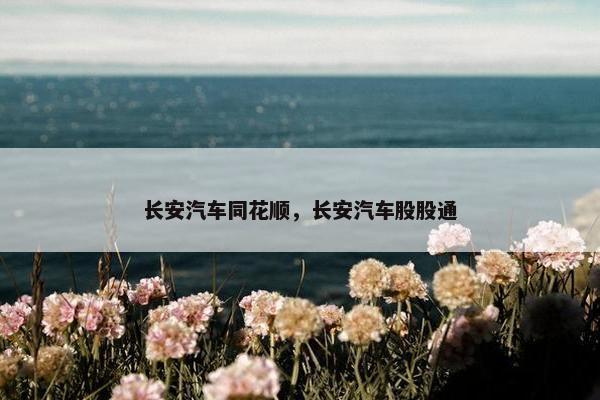 长安汽车同花顺，长安汽车股股通