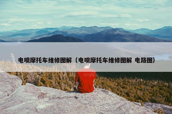 电喷摩托车维修图解（电喷摩托车维修图解 电路图）