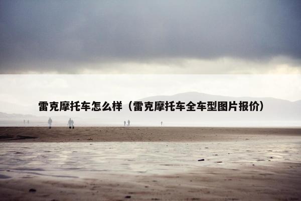 雷克摩托车怎么样（雷克摩托车全车型图片报价）