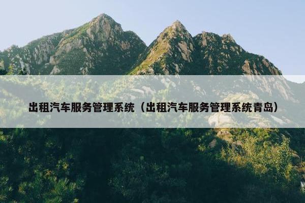 出租汽车服务管理系统（出租汽车服务管理系统青岛）