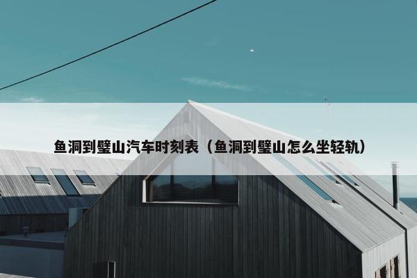 鱼洞到璧山汽车时刻表（鱼洞到璧山怎么坐轻轨）