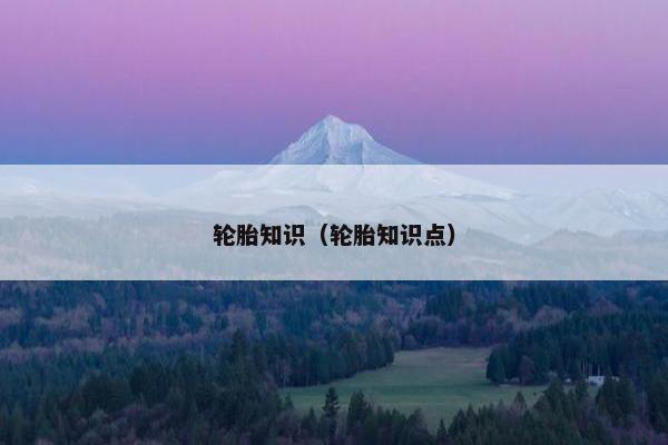 轮胎知识（轮胎知识点）