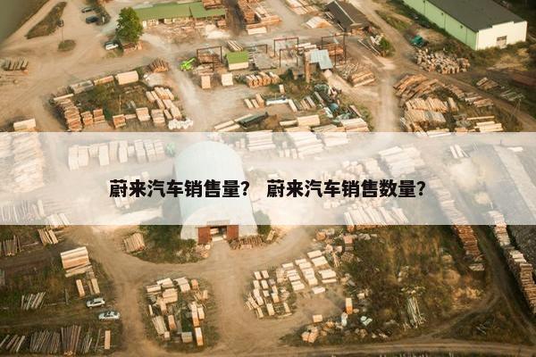 蔚来汽车销售量？ 蔚来汽车销售数量？