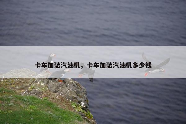 卡车加装汽油机，卡车加装汽油机多少钱