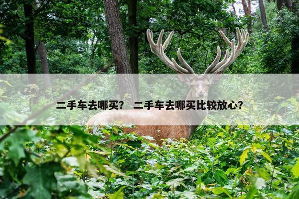 二手车去哪买？ 二手车去哪买比较放心？