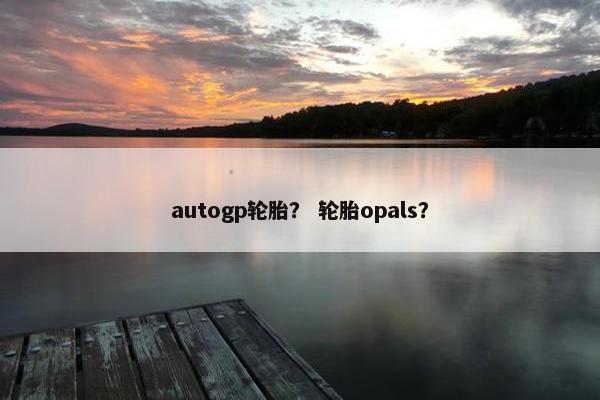 autogp轮胎？ 轮胎opals？