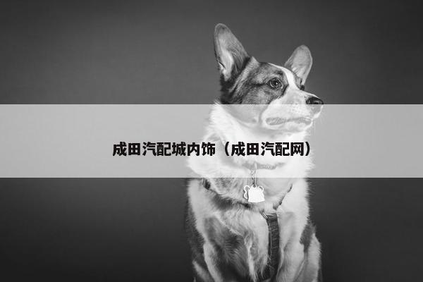 成田汽配城内饰（成田汽配网）