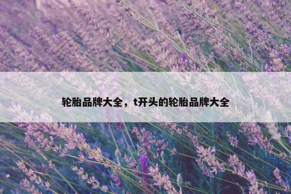 轮胎品牌大全，t开头的轮胎品牌大全