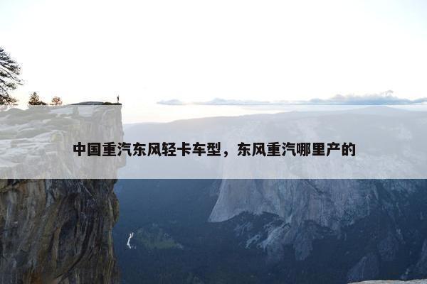 中国重汽东风轻卡车型，东风重汽哪里产的