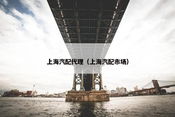 上海汽配代理（上海汽配市场）