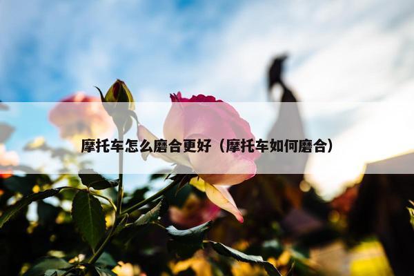 摩托车怎么磨合更好（摩托车如何磨合）