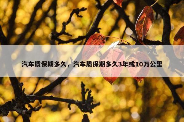 汽车质保期多久，汽车质保期多久3年或10万公里