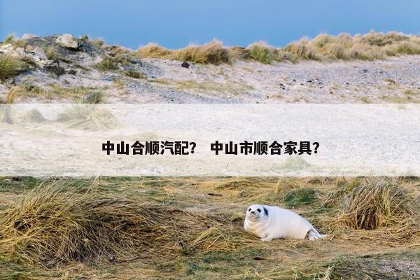 中山合顺汽配？ 中山市顺合家具？
