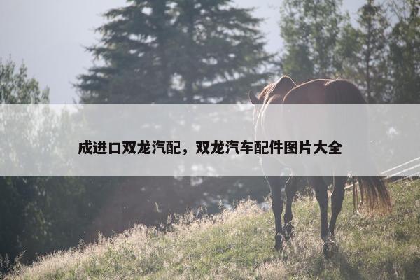 成进口双龙汽配，双龙汽车配件图片大全