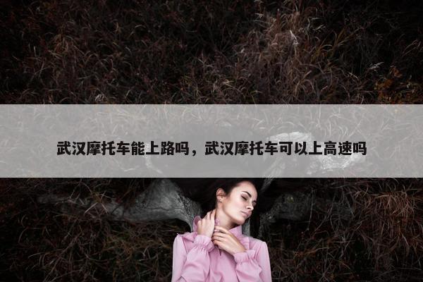 武汉摩托车能上路吗，武汉摩托车可以上高速吗