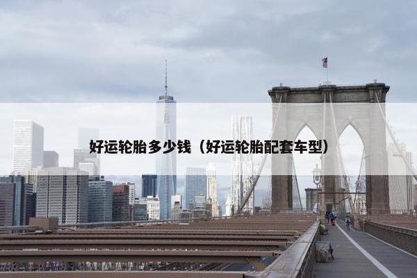 好运轮胎多少钱（好运轮胎配套车型）