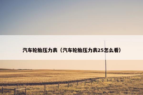 汽车轮胎压力表（汽车轮胎压力表25怎么看）