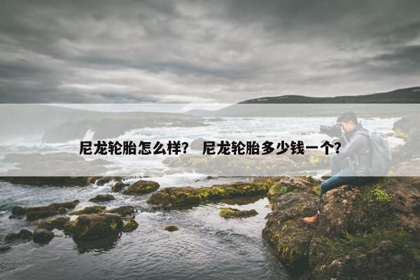 尼龙轮胎怎么样？ 尼龙轮胎多少钱一个？