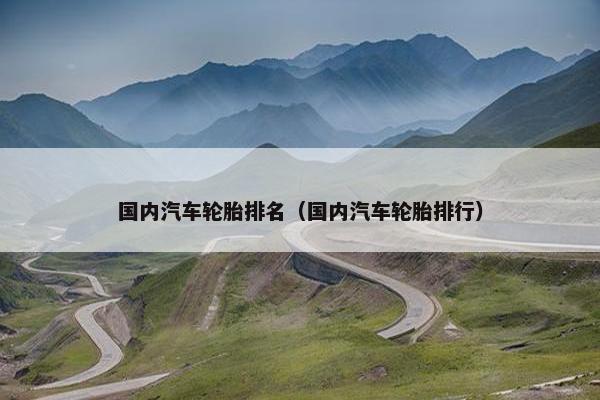 国内汽车轮胎排名（国内汽车轮胎排行）