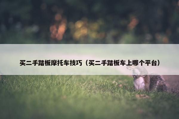 买二手踏板摩托车技巧（买二手踏板车上哪个平台）