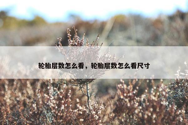 轮胎层数怎么看，轮胎层数怎么看尺寸